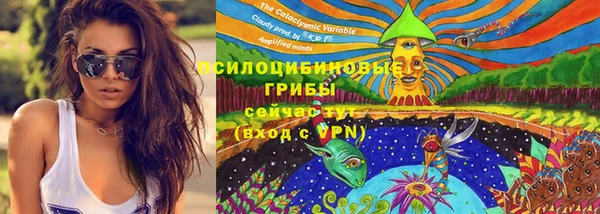 крисы Горнозаводск