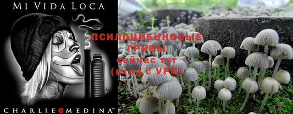 крисы Алексеевка